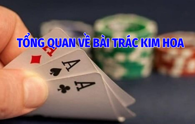 bai trac kim hoa 678229a5b56ae