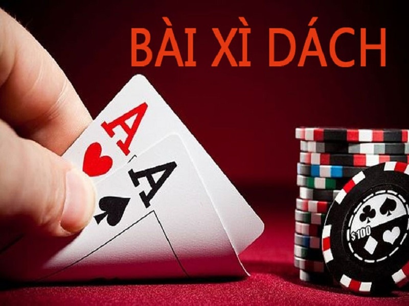 xi dach hoang gia 12bet 677fe04cafd7d